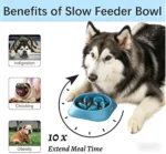 Anti-Choking Slow Feeder Dog Puzzle Bowl