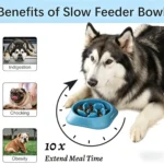 Anti-Choking Slow Feeder Dog Puzzle Bowl